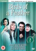 Network Birds Of A Feather Complete Series 6 network kopen in de aanbieding Network Birds Of A Feather Complete Series 6 network kopen in de aanbieding