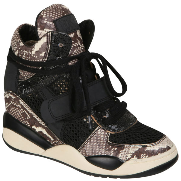 Ash Women's Funky Wedged Hi-Top Trainers - Python Mesh | FREE UK ...