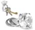 Diamond Key Ring Diamond Key Ring