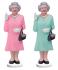 Solar Queen - Assorted Solar Queen - Assorted