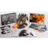 Guild Wars 2: Collector's Edition Guild Wars 2: Collector's Edition