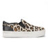 ash leopard print trainers