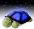 Twilight Turtle Twilight Turtle