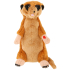Chatimal Meerkat Chatimal Meerkat