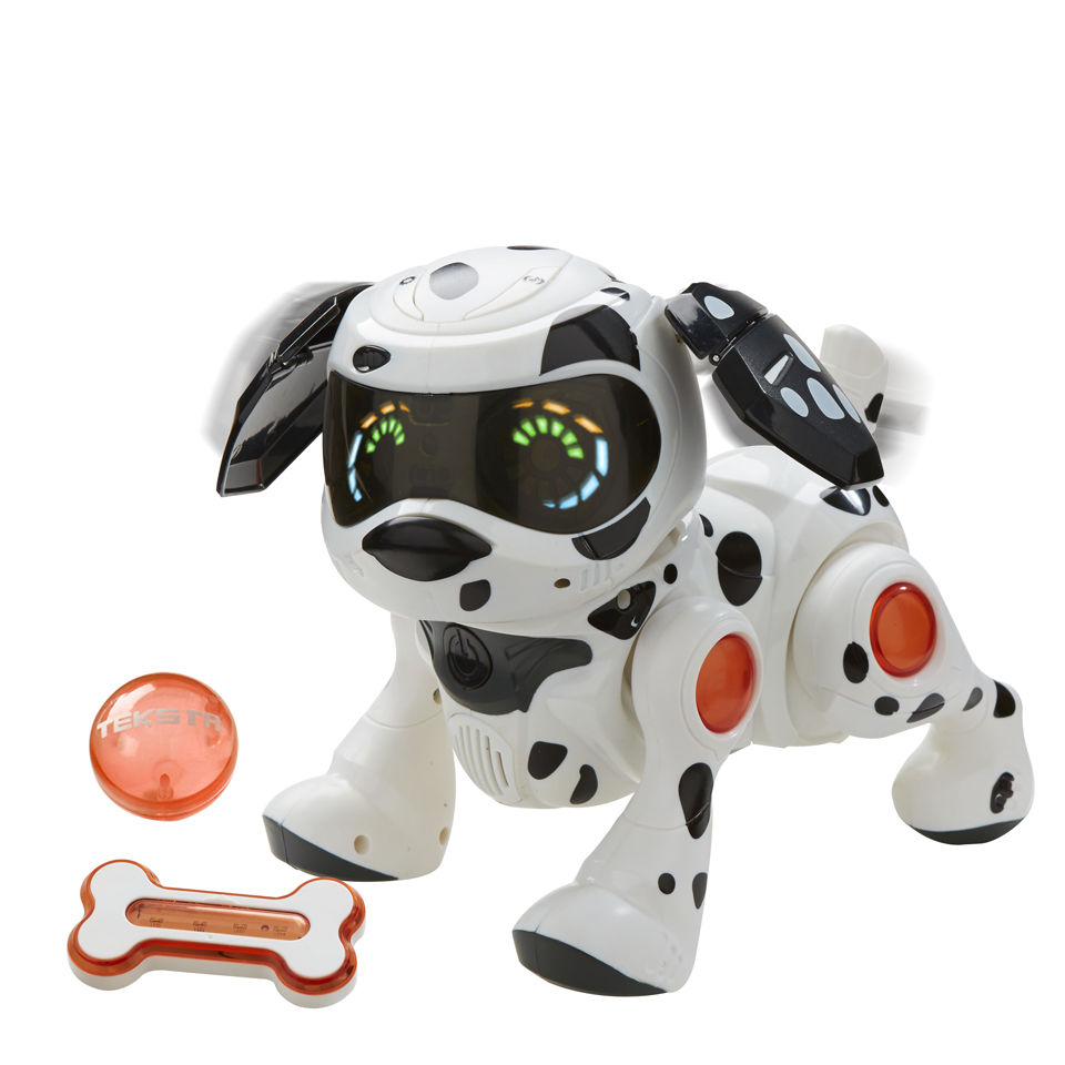 Teksta Puppy Dalmatian Iwoot Uk Teksta Puppy Dalmatian Iwoot Uk