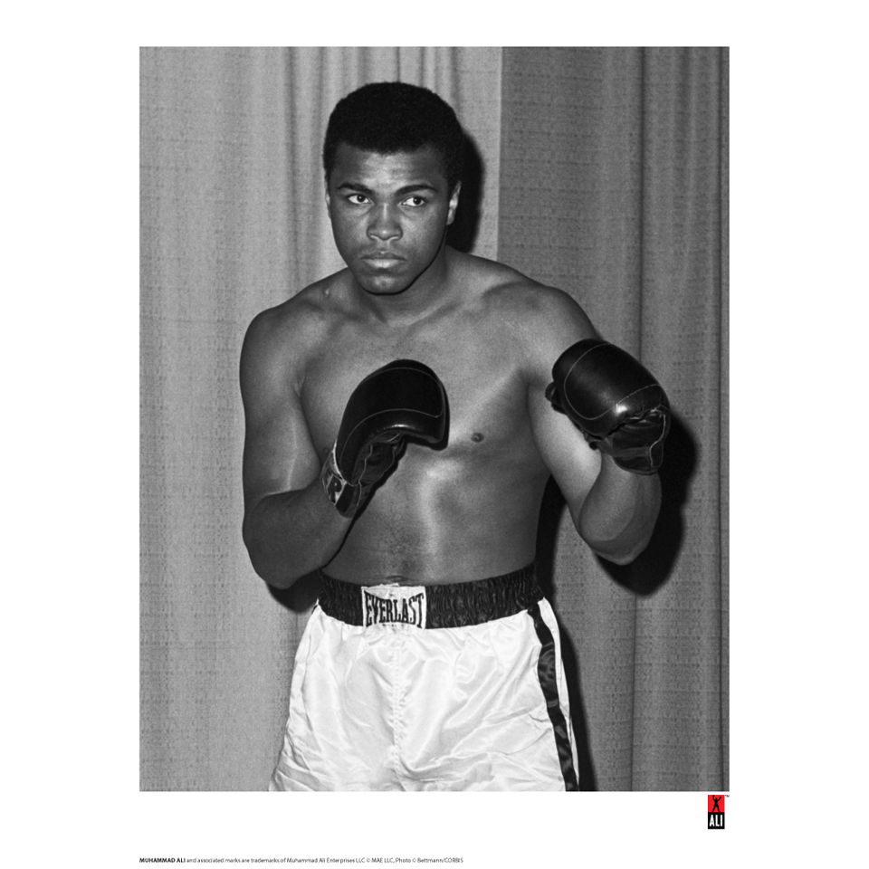 Muhammad Ali Fine Art Print - Stance Homeware | TheHut.com