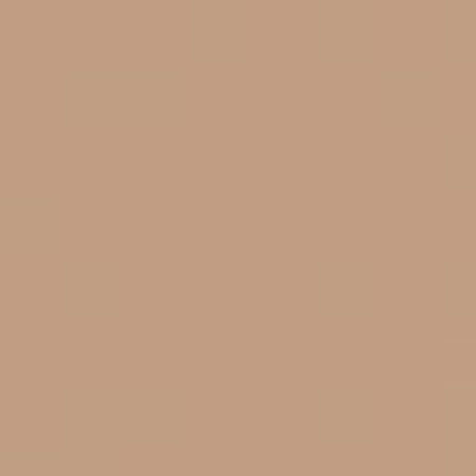 

Shiseido Tanning Compact Foundation SPF6 N (12g) - Honey