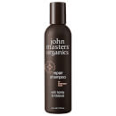 Image of John Masters Organics Shampoo for Damaged Hair with Honey & Hibiscus 177ml 669558002708
