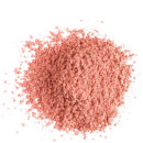 Image of Lily Lolo Mineral Blush 4g (Various Shades) - Clementine 5060198290930