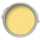 Farrow & Ball Eco No.74 Citron - Exterior Eggshell Paint - 2.5L