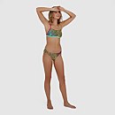 JungleGlare Hipster Brief