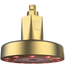 Higherdose Red Light Shower Filter- Polished Brass In Brown