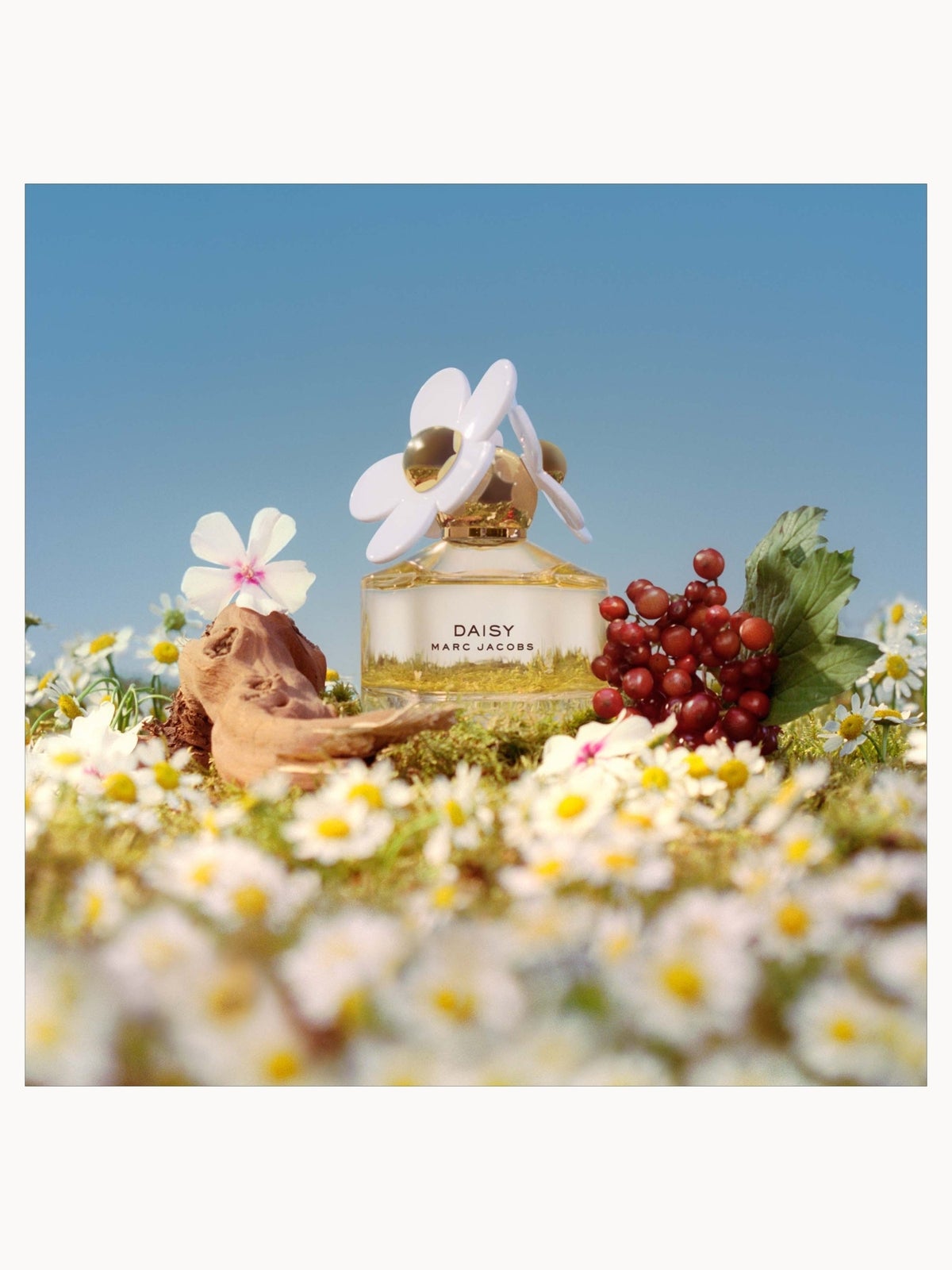 Marc Jacobs Daisy Eau de Toilette 50ml, photo 3