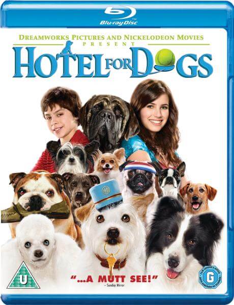 

Hôtel pour chiens