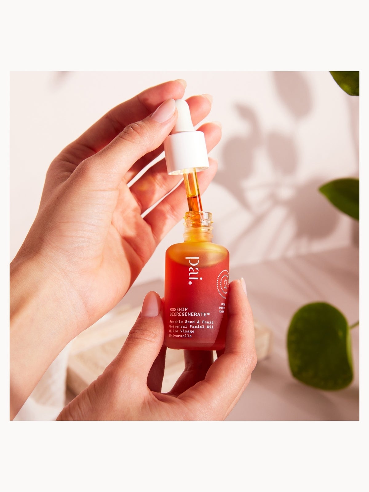 Pai Skincare Rosehip Bioregenerate™ Rejuvenating Overnight Face Oil 30ml 3