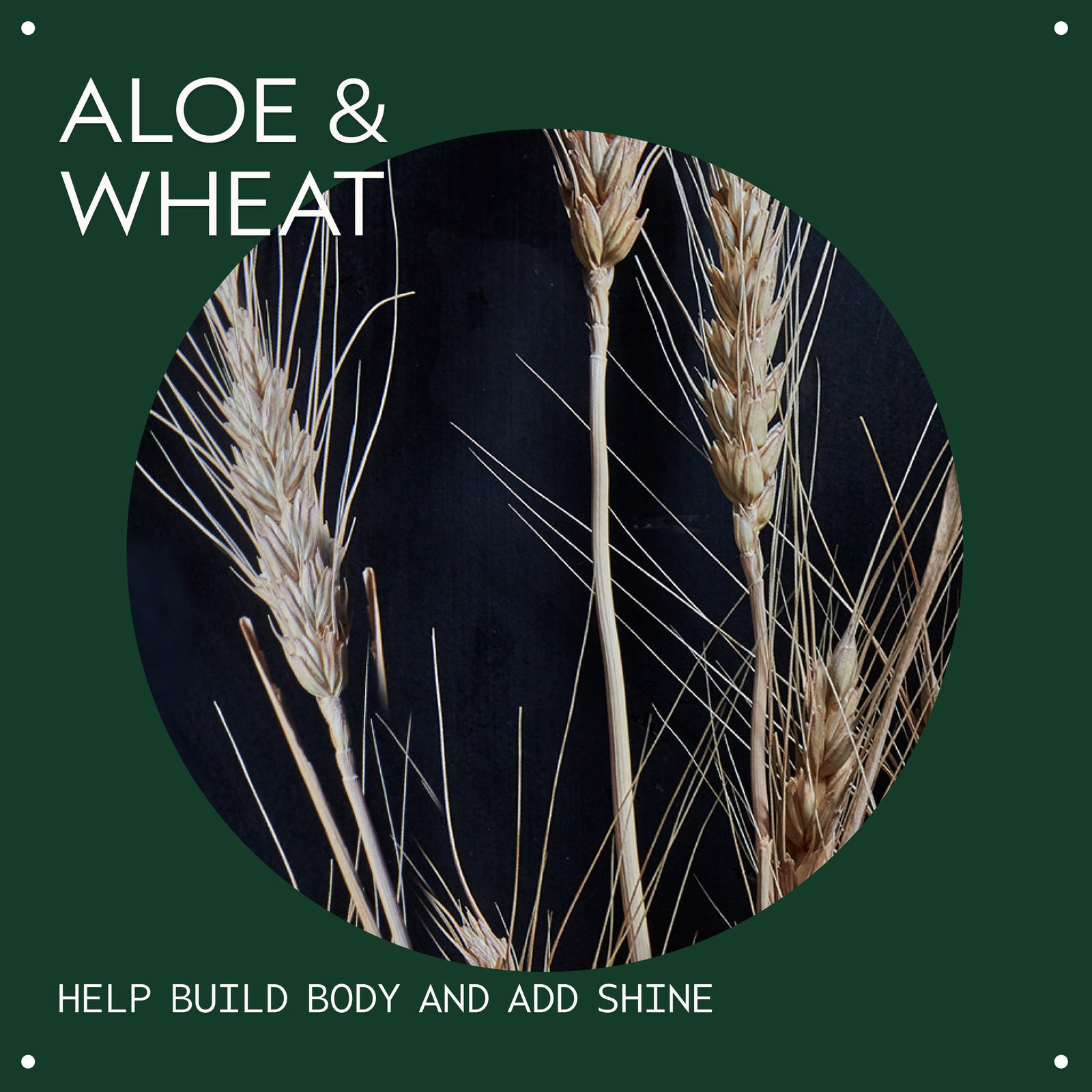 Thumbnail - Aveda Purescription Volumising Tonic (Volumen) 100ml