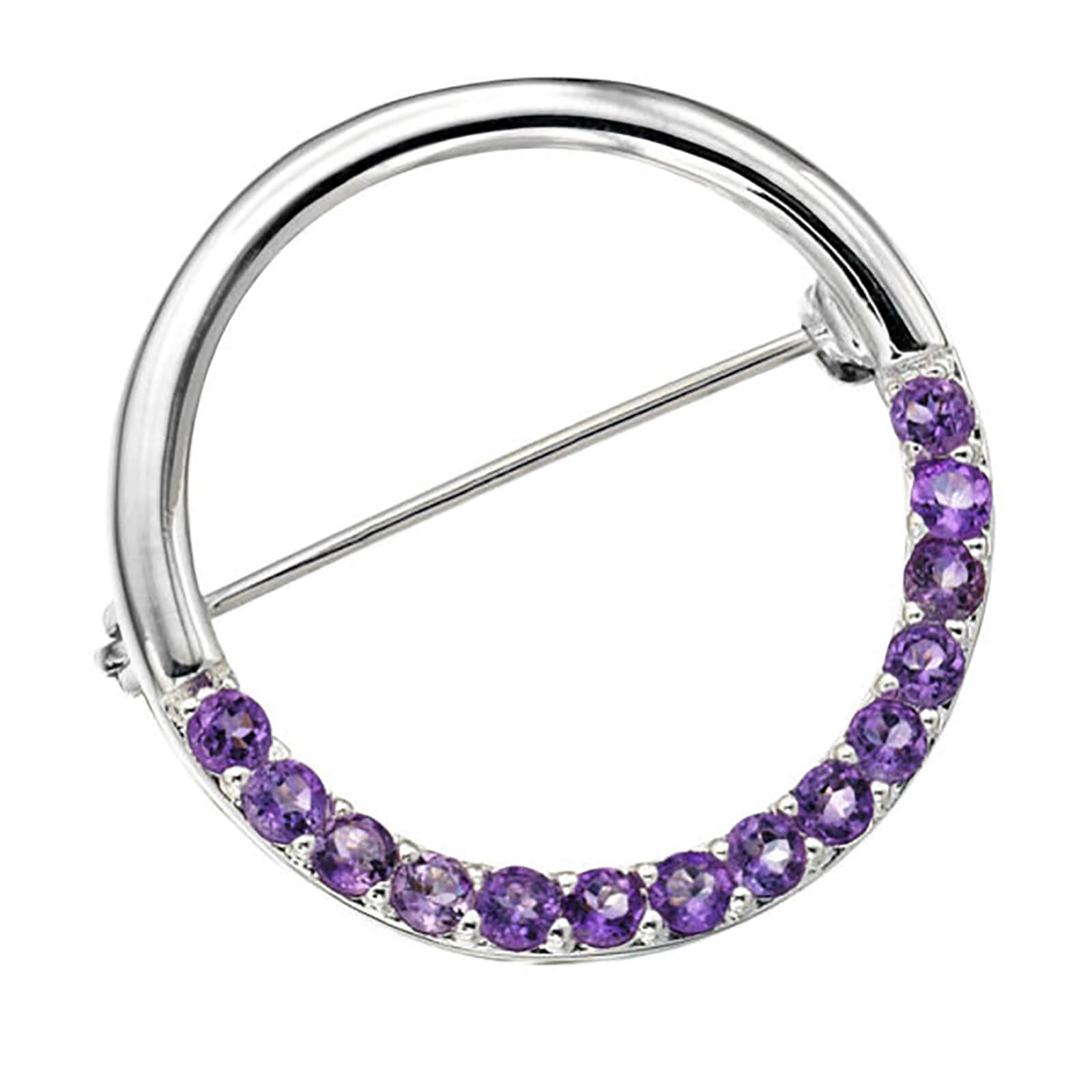 Silver Plated Circle Design Amethyst Pin - One Size