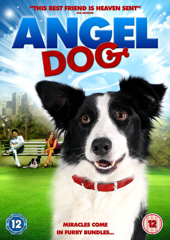 Angel dog. Дог мовие. Angel Dog movie. Crazy Dog DVD.