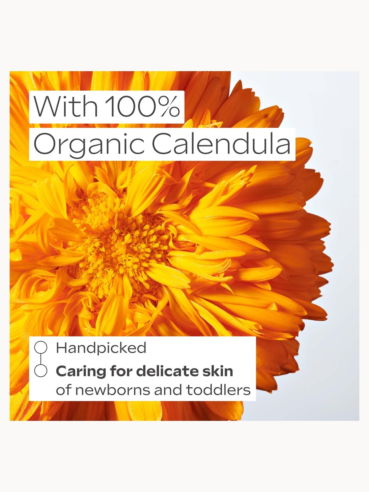 Weleda Calendula Weather Protection Cream 30ml, photo 4