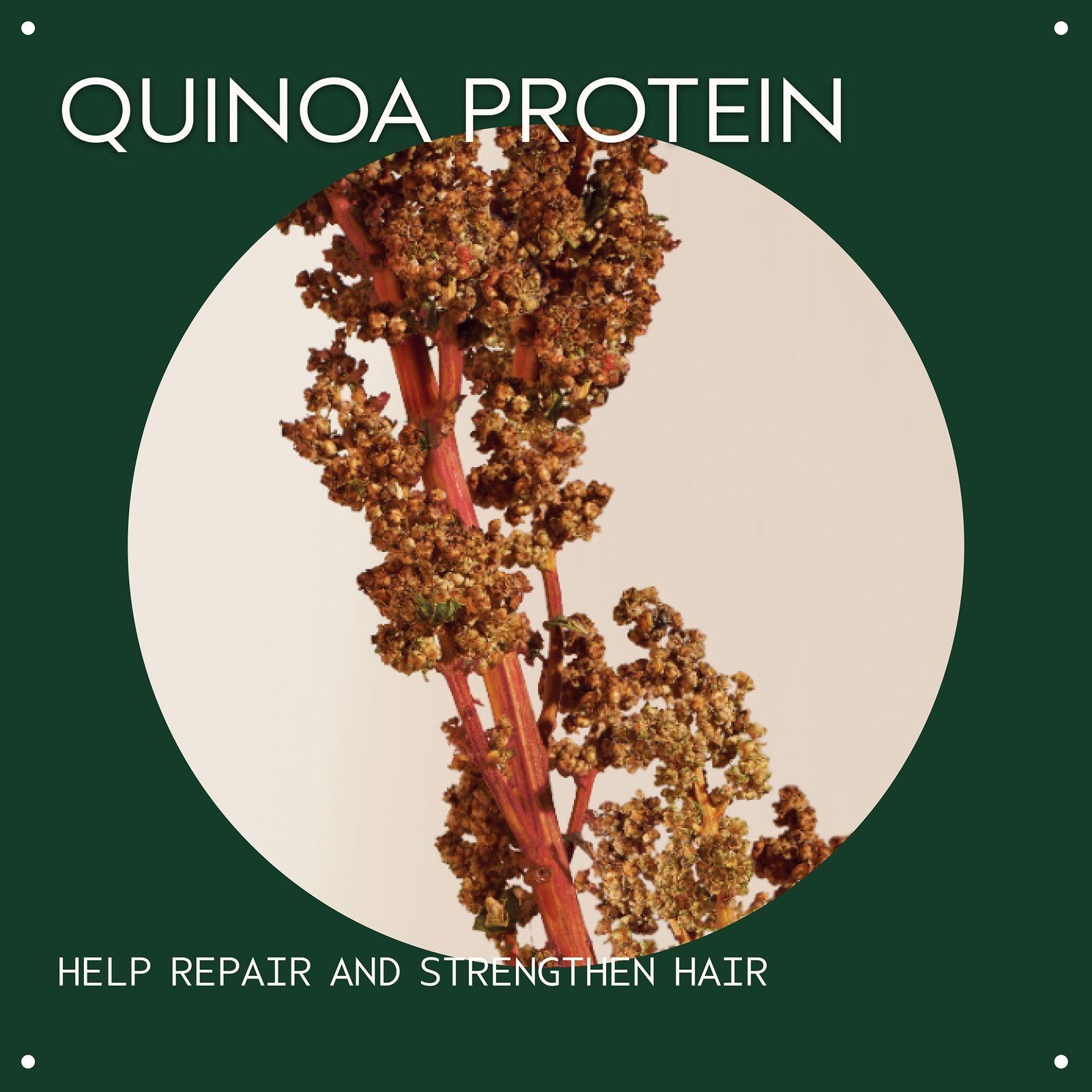 Thumbnail - Aveda Damage Remedy Shampoo (Reparatur)