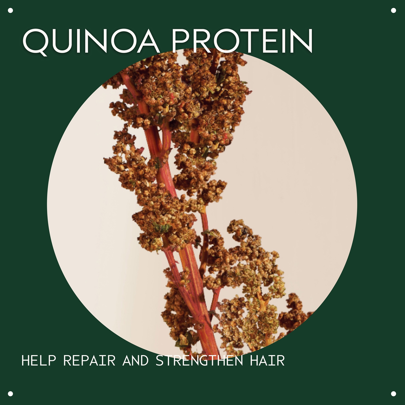 Thumbnail - Aveda Damage Remedy Restructuring Conditioner 200ml (für geschädigtes Haar)