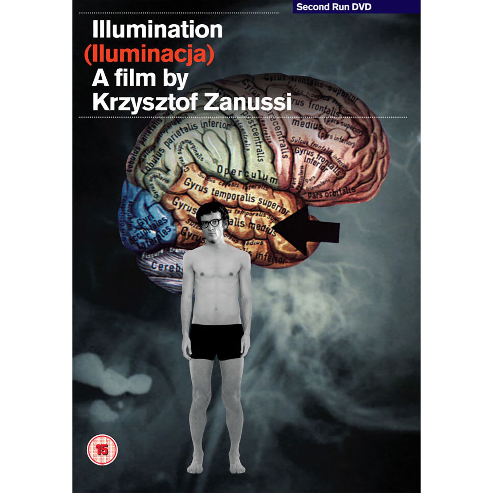 Illumination (DVD, 2014) - Image 3