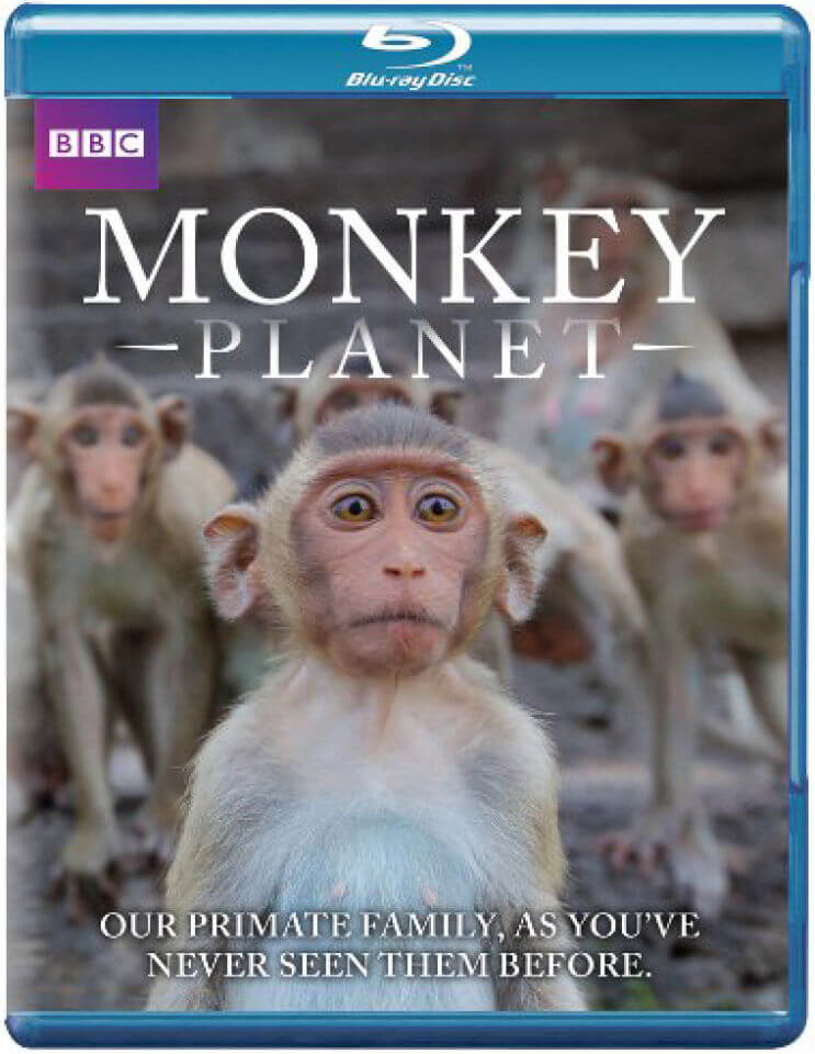 

Planète des singes
