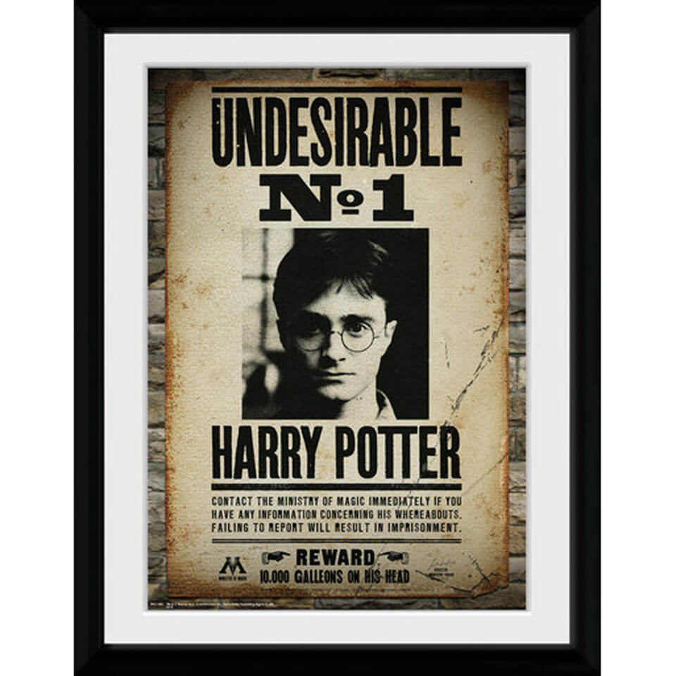 Harry Potter Undesirable No 1 - 30x40 Collector Prints