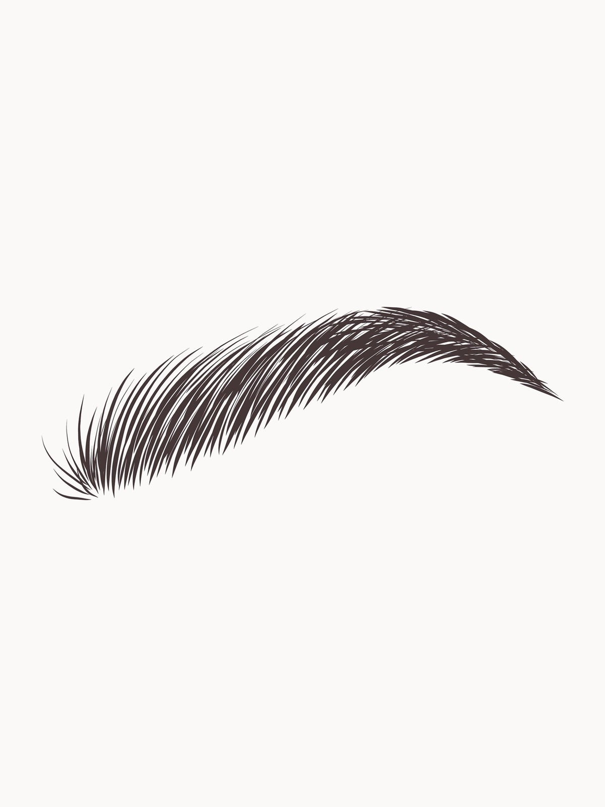Eylure Dybrow Brow Dye - Black 3