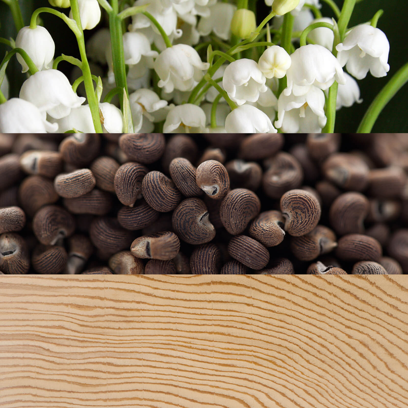 Thumbnail - Calvin Klein Beauty Eau de Parfum 100ml