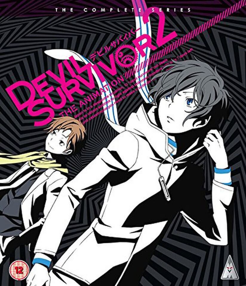 

Devil Survivor 2