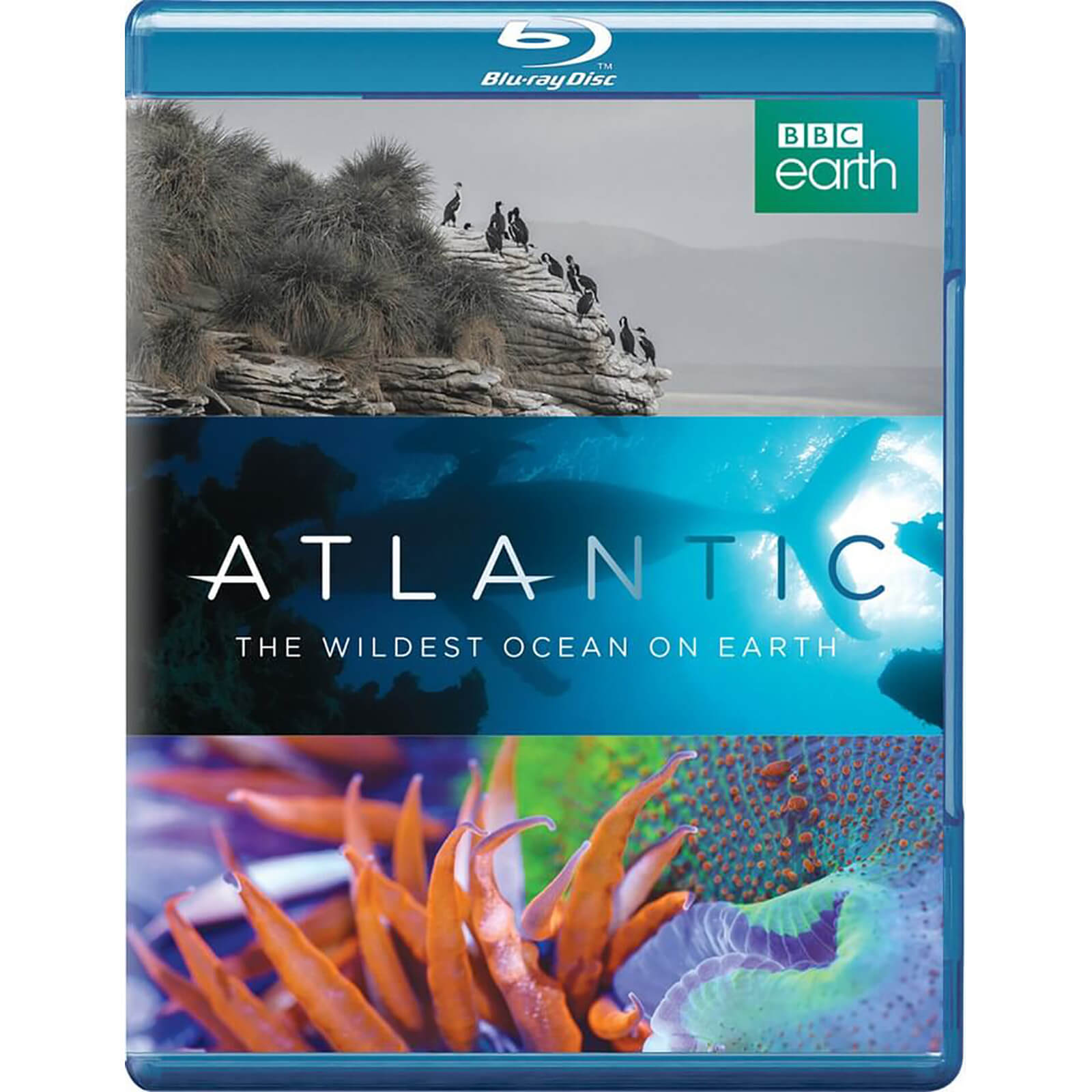 Atlantic, The Wildest Ocean On Earth