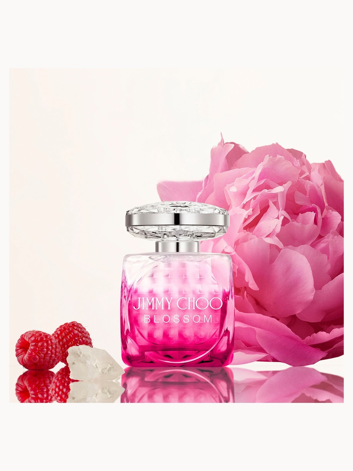 Jimmy Choo Blossom Eau de Parfum Spray 100ml, photo 3