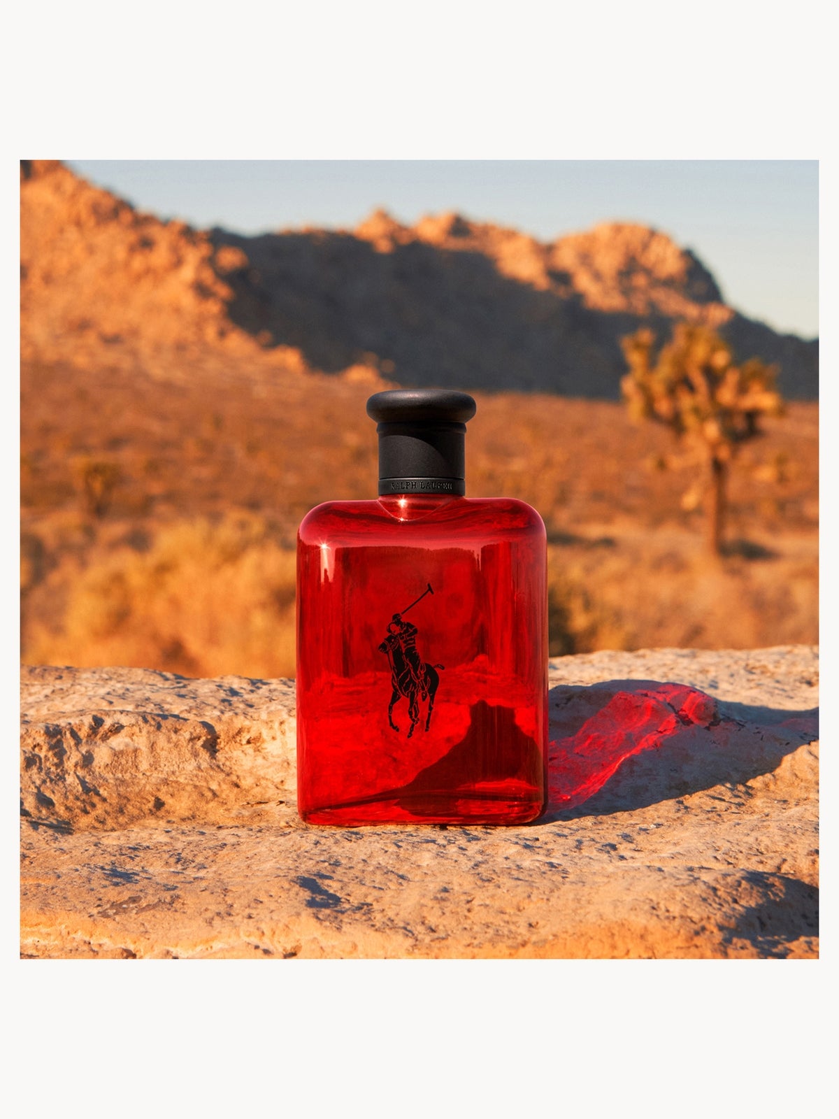 Ralph Lauren Polo Red Eau de Toilette - 125ml, photo 4