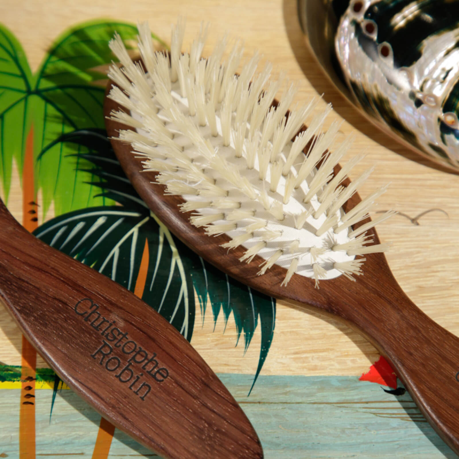 Christophe Robin Travel Hair Brush 2