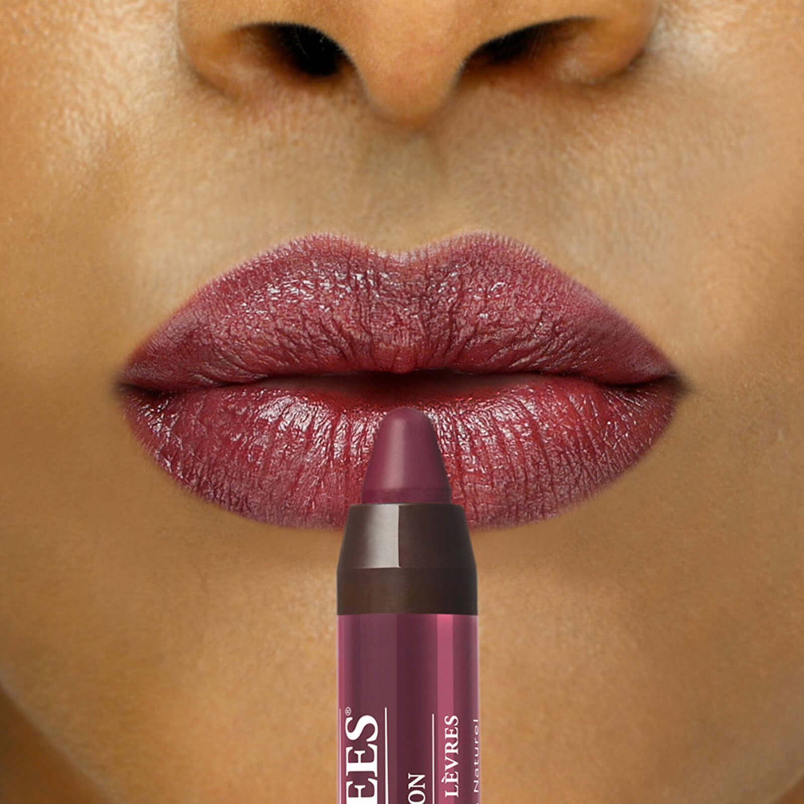 Burt's Bees Gloss Lip Crayon