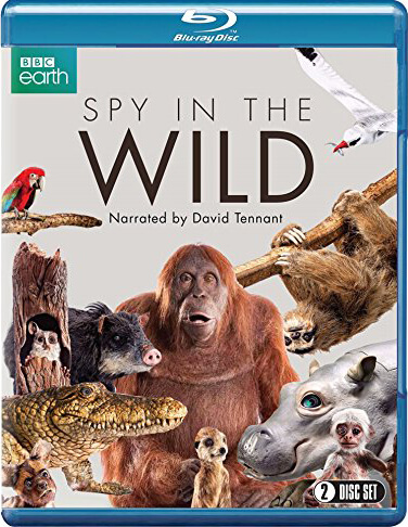 

Spy in the Wild