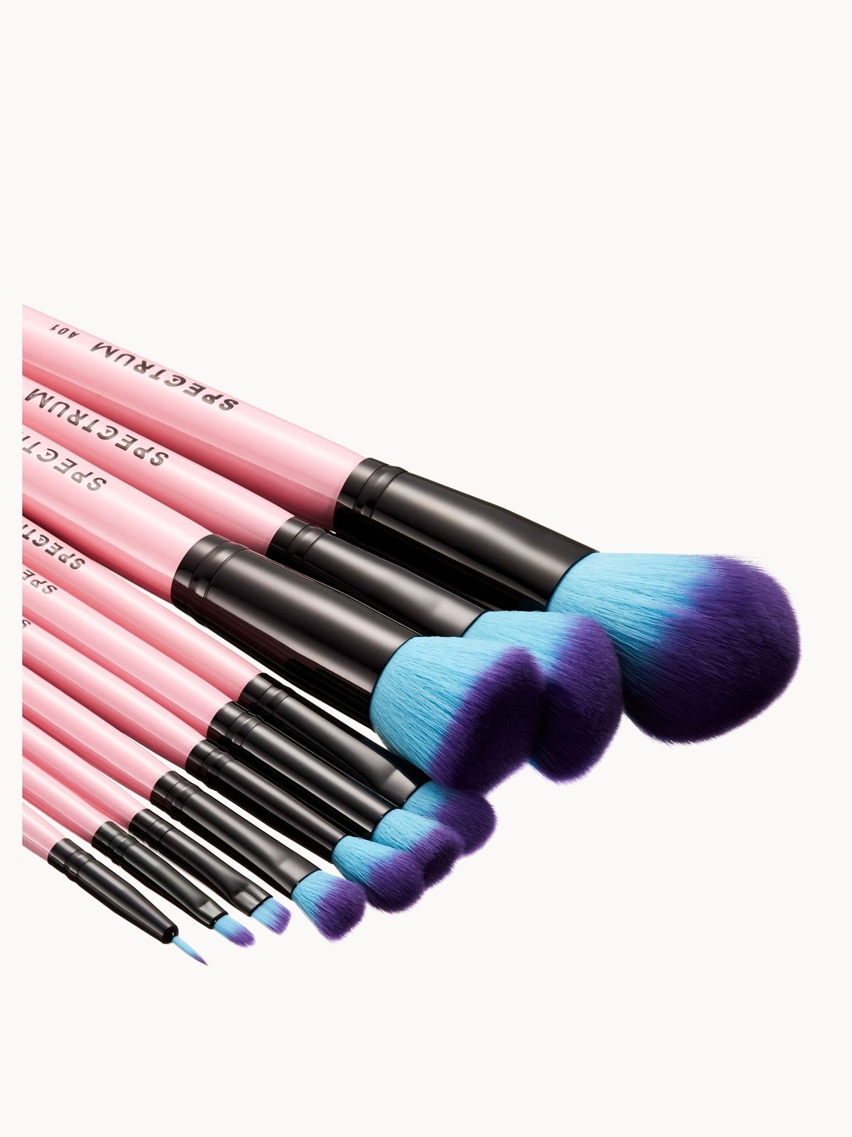 Spectrum Collections 10 Piece Essential Brush Set (Worth £75.00) 2