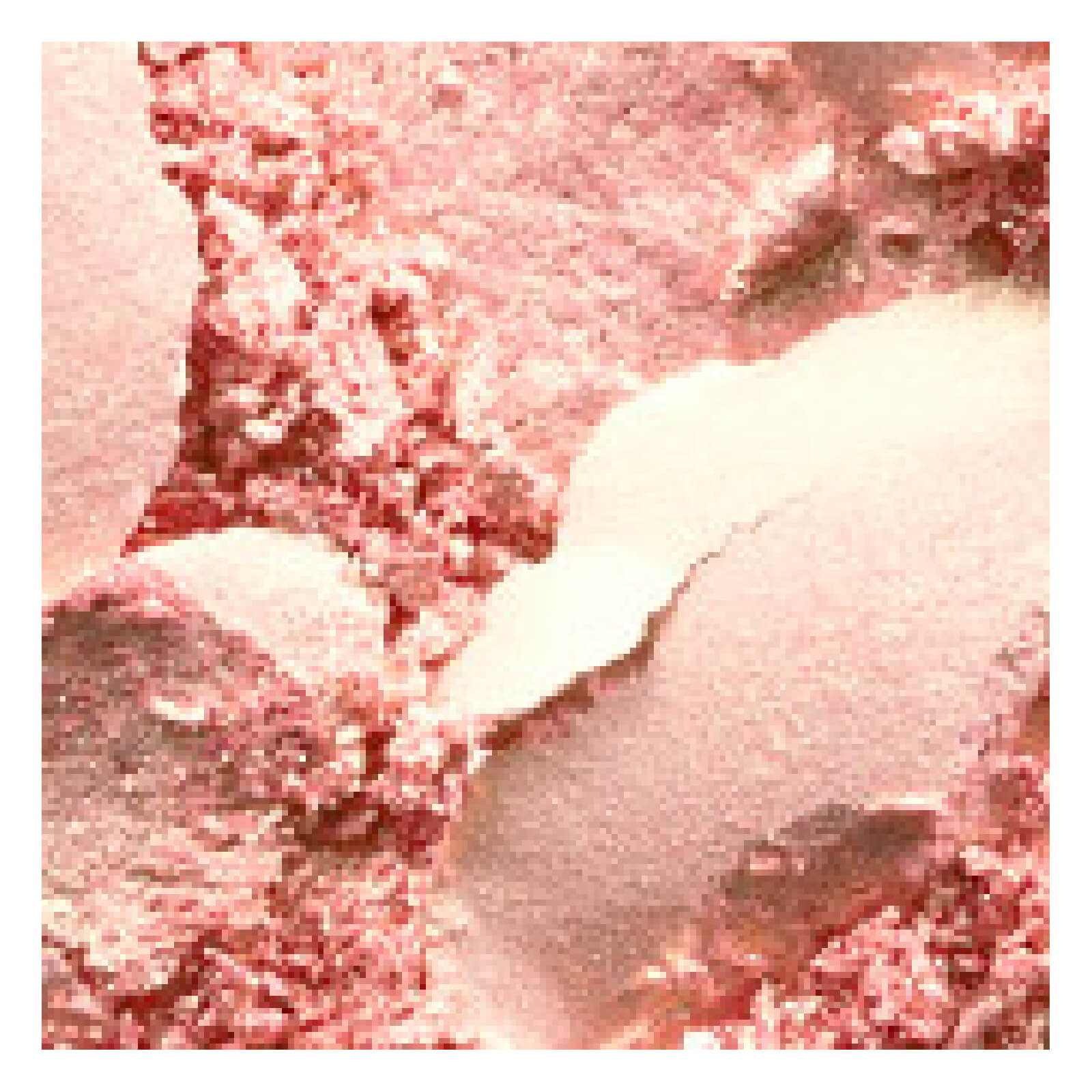 MAC Extra Dimension Skinfinish Highlighter 9g (Various Shades) - Whisper of Gilt 3