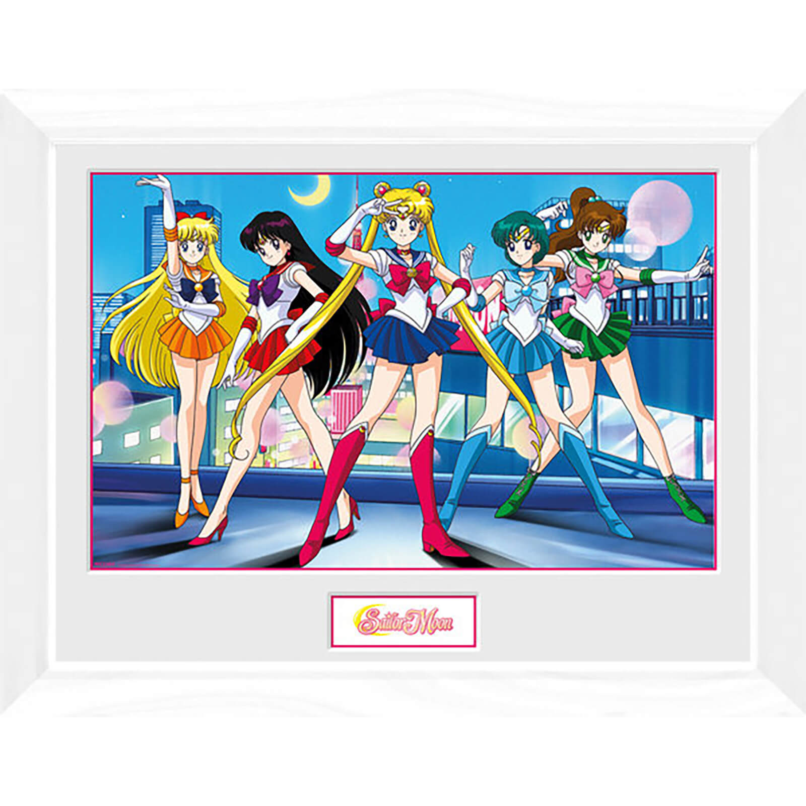 Sailor Moon Group - 16 x 12 Inches Framed Photograph