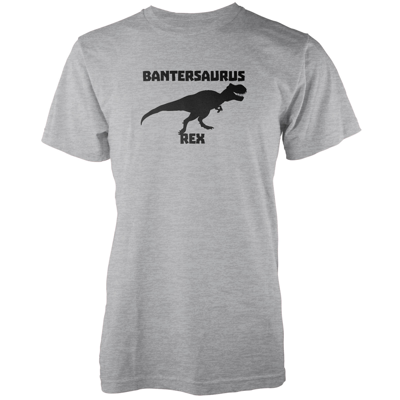 Bantersaurus Rex Grey T-Shirt - S - Grey