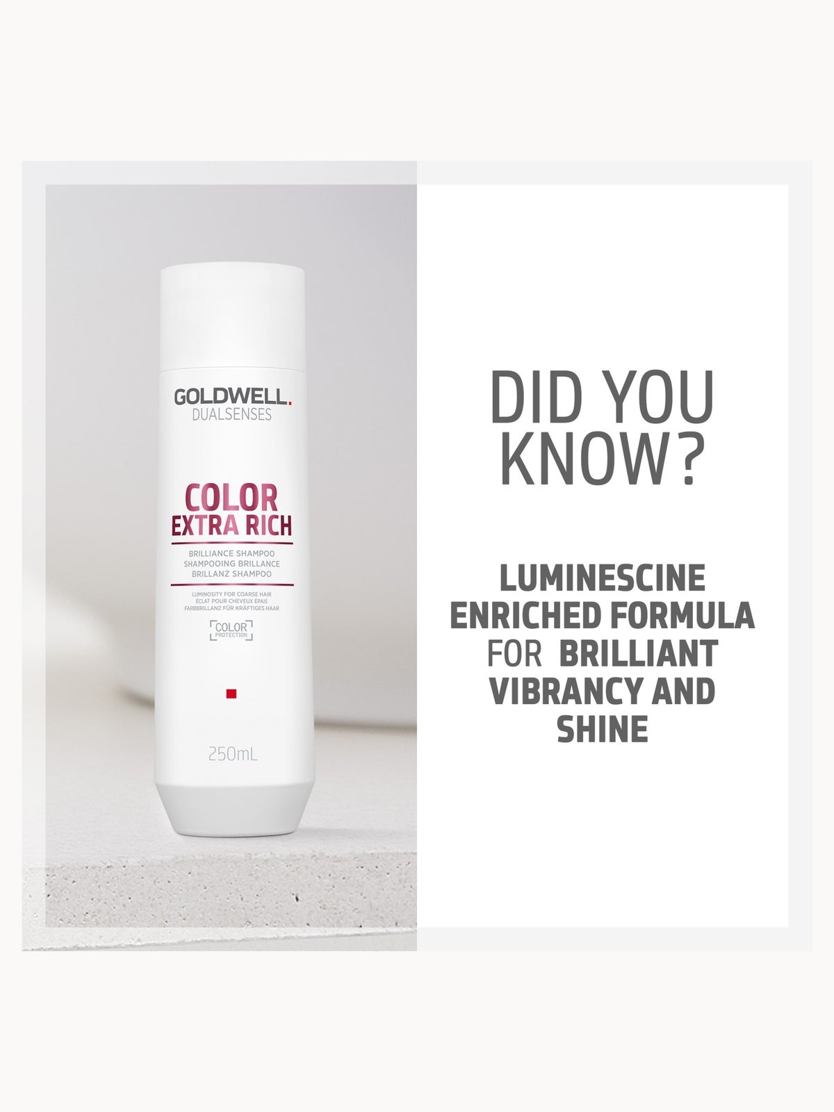 Goldwell Dualsenses Color Extra Rich Brilliance Shampoo, Anti-Colour Fading For Thick, Coarse Hair 250ml 4