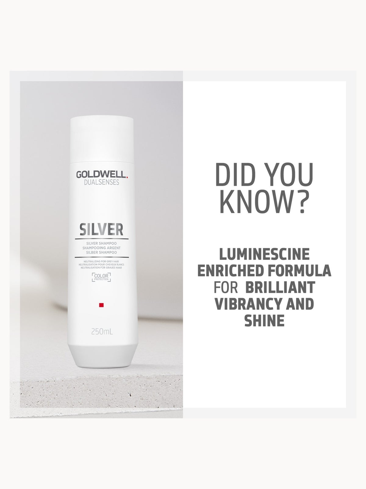 Goldwell Dualsenses Silver Shampoo For Grey & Cool Blonde Hair 250ml 4
