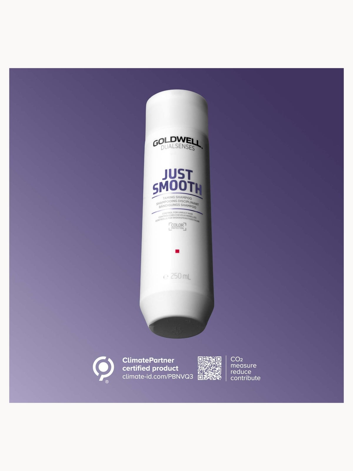 Goldwell Dualsenses Just Smooth Taming Shampoo, For Smoothing Unruly, Frizzy Hair 250ml 4