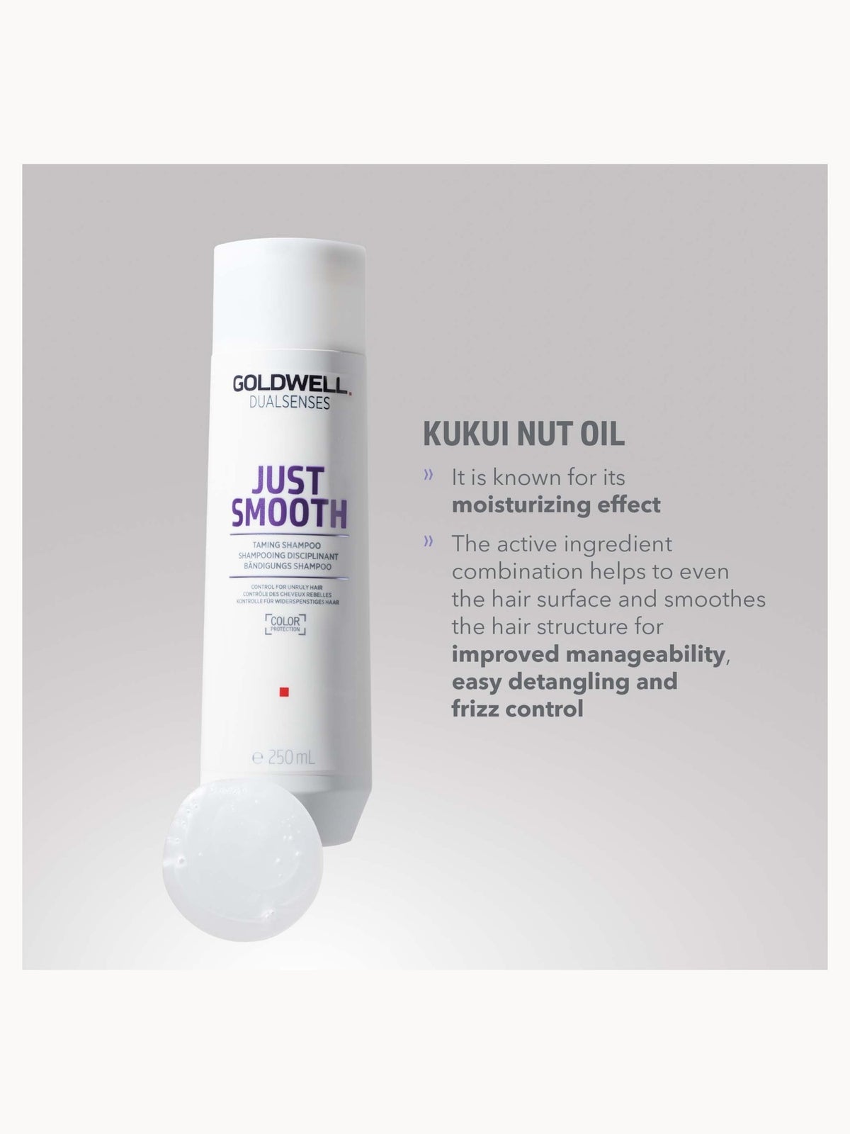 Goldwell Dualsenses Just Smooth Taming Shampoo, For Smoothing Unruly, Frizzy Hair 250ml 3