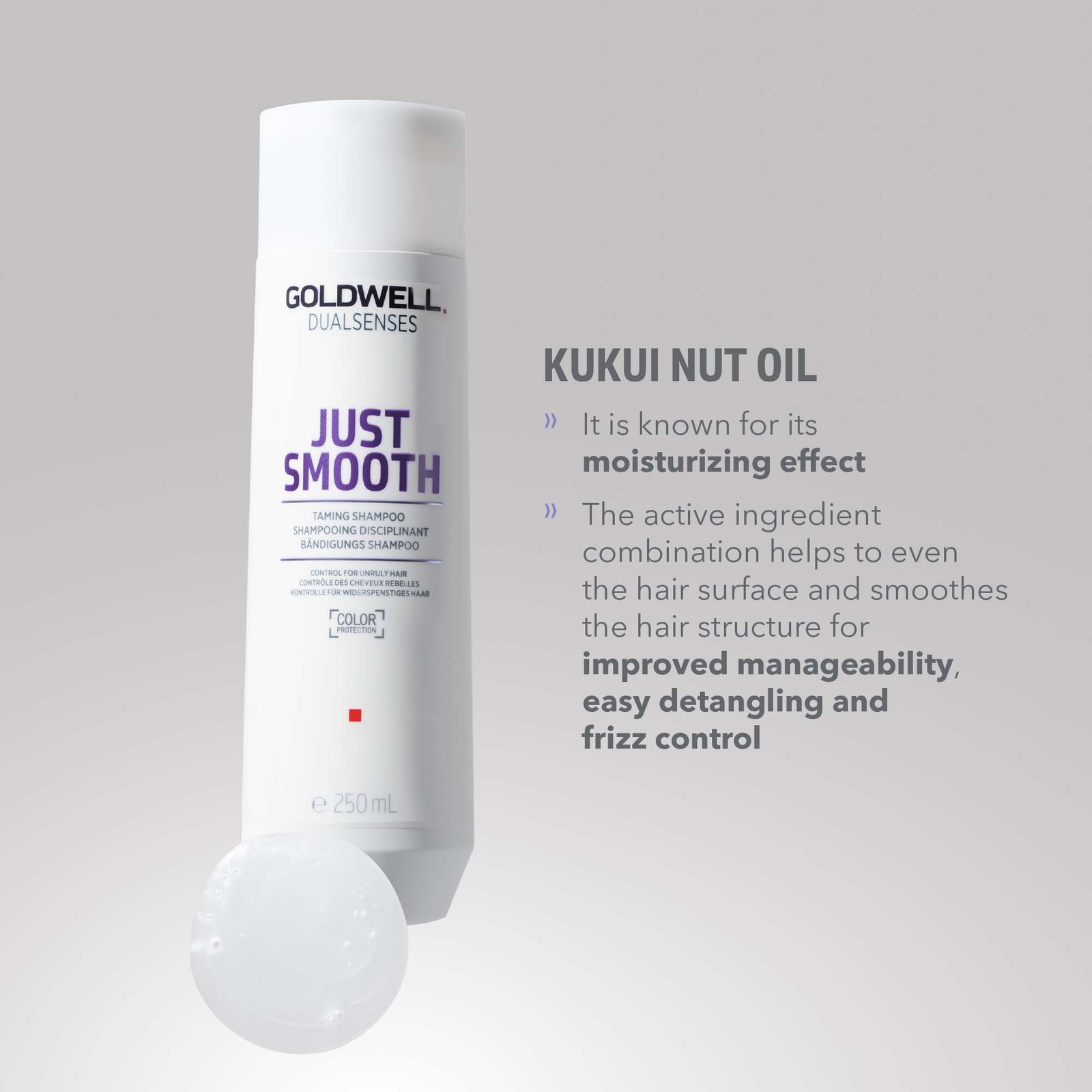 Thumbnail - Goldwell Dualsenses Just Smooth Taming Shampoo 250ml