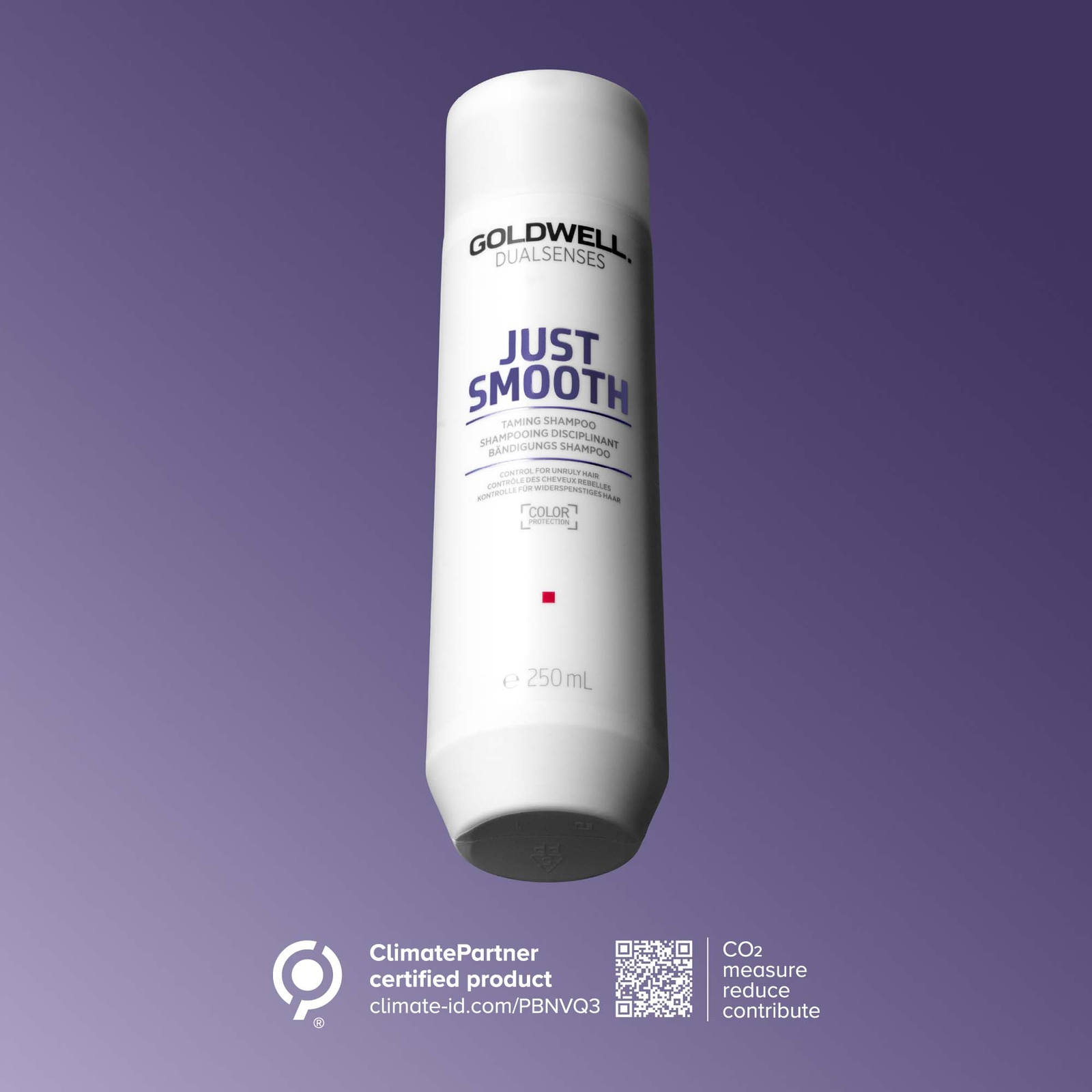 Thumbnail - Goldwell Dualsenses Just Smooth Taming Shampoo 250ml