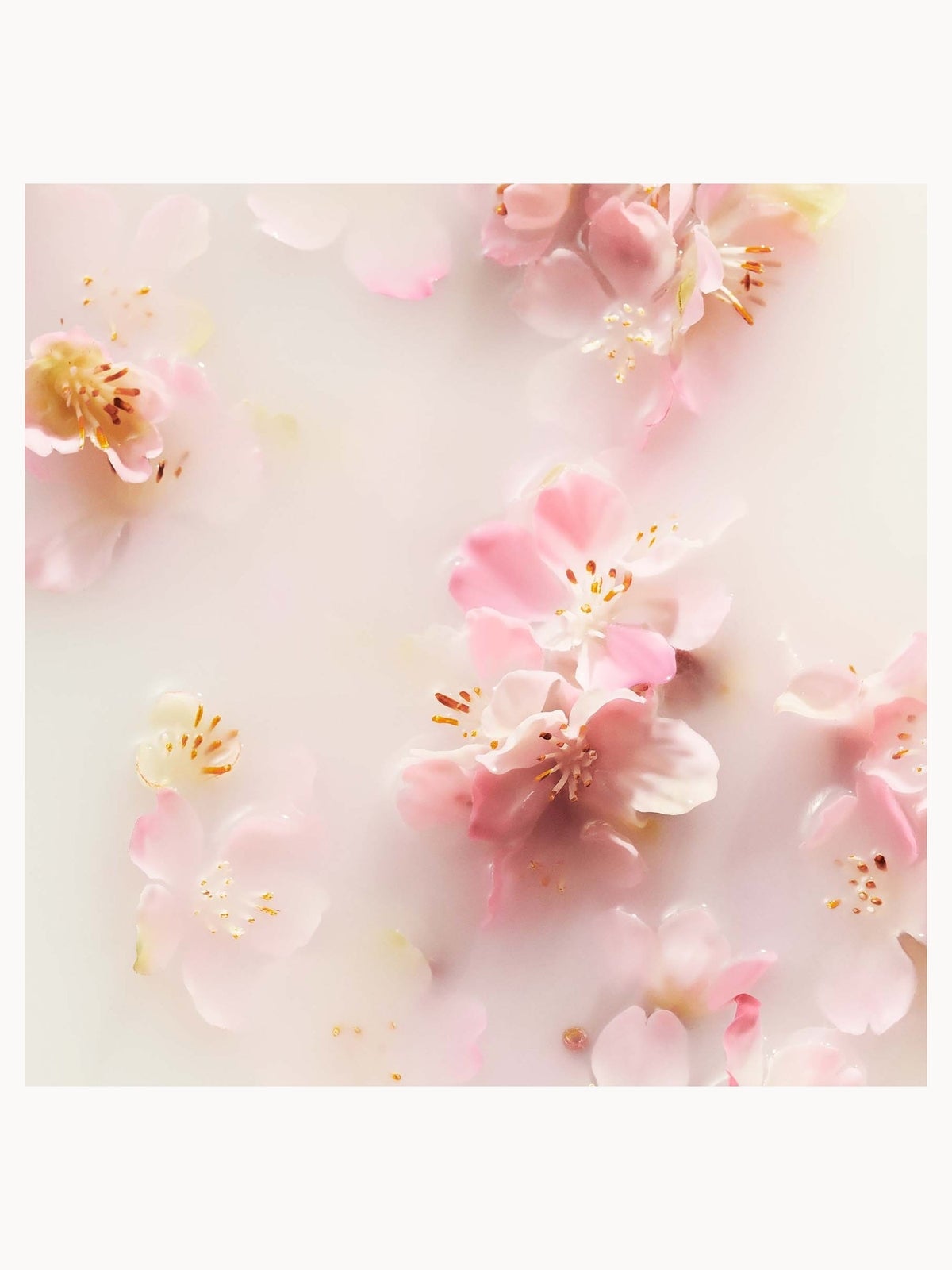 RITUALS The Ritual of Sakura Cherry Blossom & Rice Milk 24H Anti-Perspirant Spray 150ml, photo 3