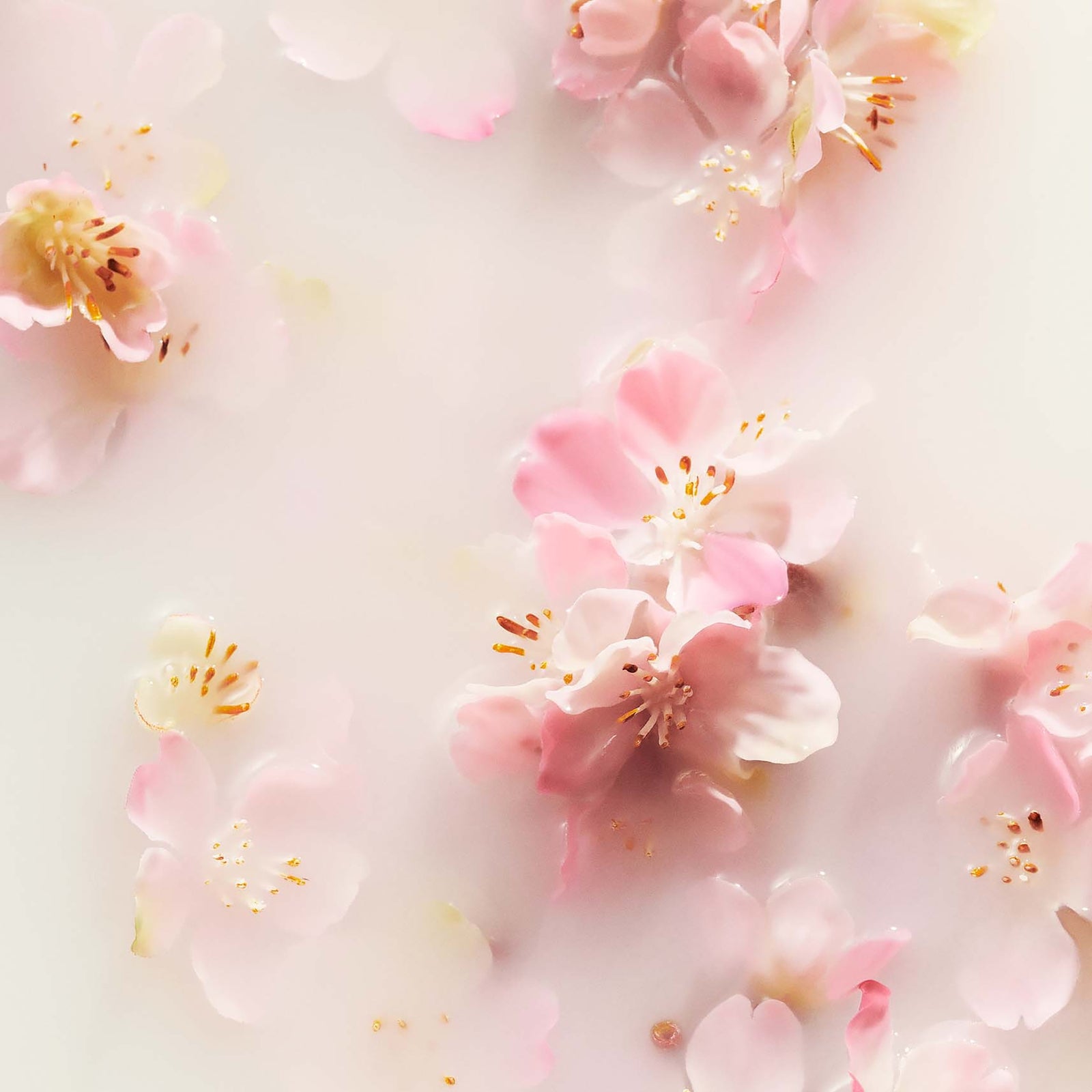 RITUALS The Ritual of Sakura Cherry Blossom & Rice Milk 24H Anti-Perspirant Spray 150ml 3