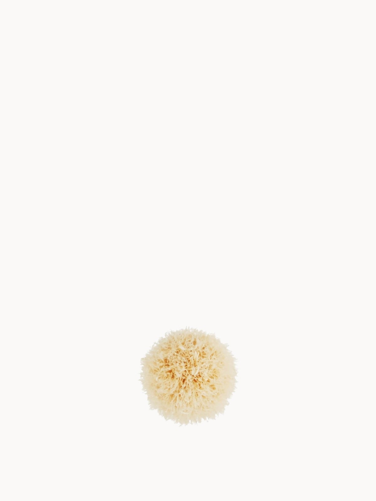 MAC 221S Mini Tapered Blending Brush 3